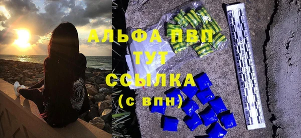 сатива Корсаков