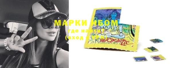сатива Корсаков