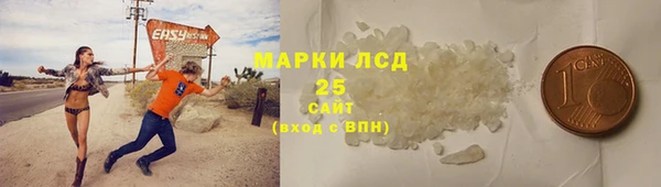 сатива Корсаков