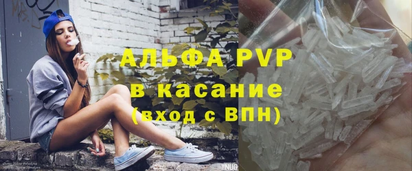 сатива Корсаков