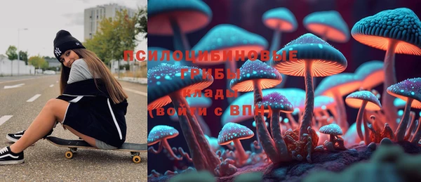 ГАЛЛЮЦИНОГЕННЫЕ ГРИБЫ Красноперекопск