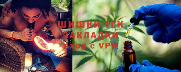 сатива Корсаков