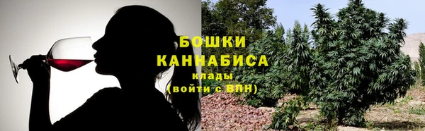 соль ск Козельск