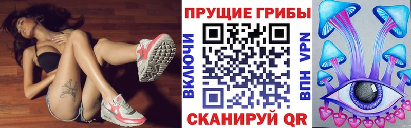 Купить где  Бабушкин  Галлюциногенные грибы Magic Shrooms 